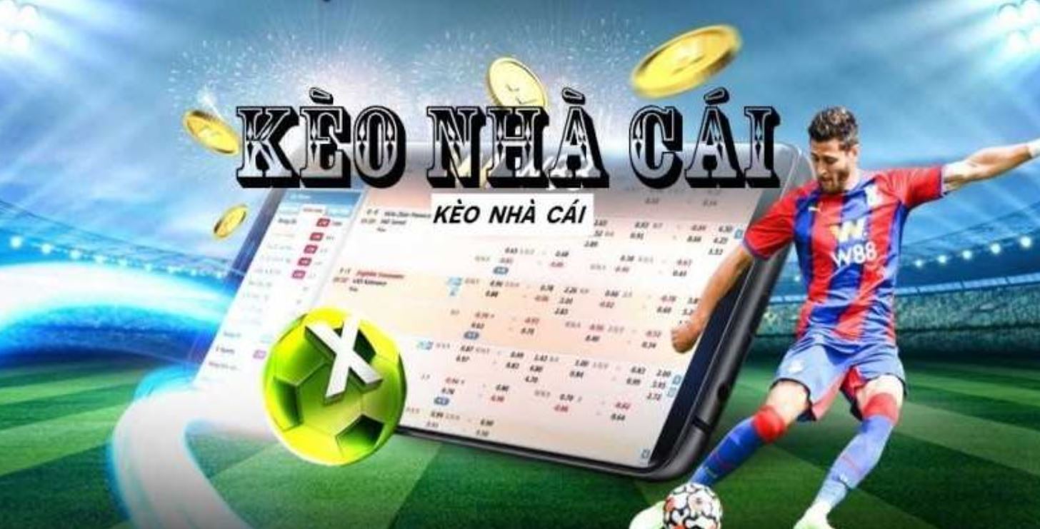 Bongdalu Link Xem Bóng Đá Trực Tuyến Hàng Đầu Hiện Nay
